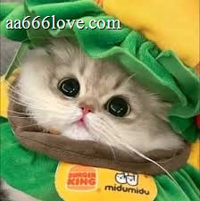 Once Mekel profile picture - 46